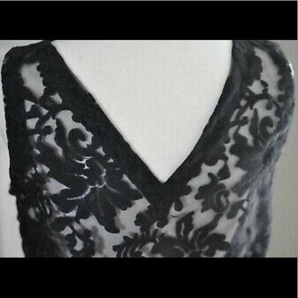 Banana Republic Sheer Lace Sleeveless Crop Top - Picture 4 of 8